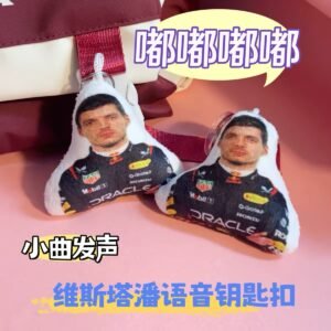 F1 Max Verstappen (with BGM)